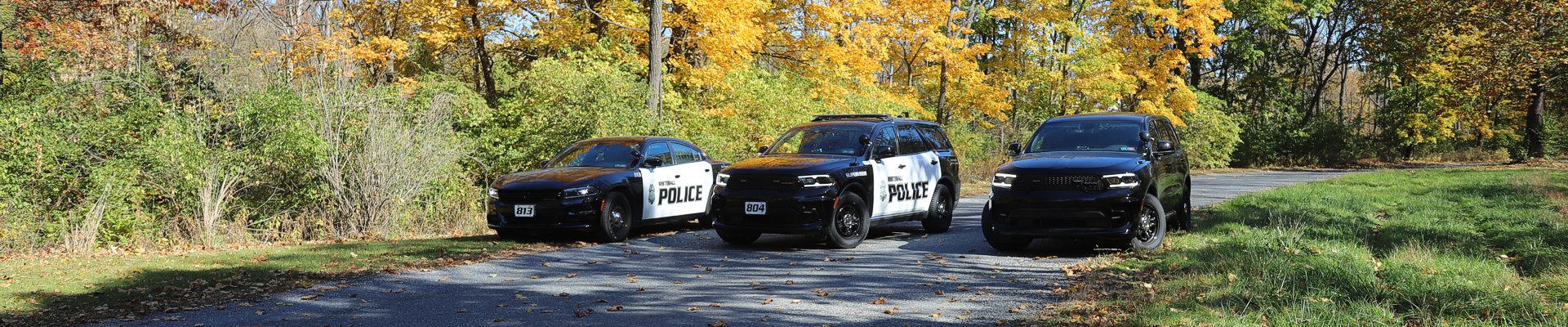 Whitehall Township
